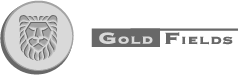 Gold Fields