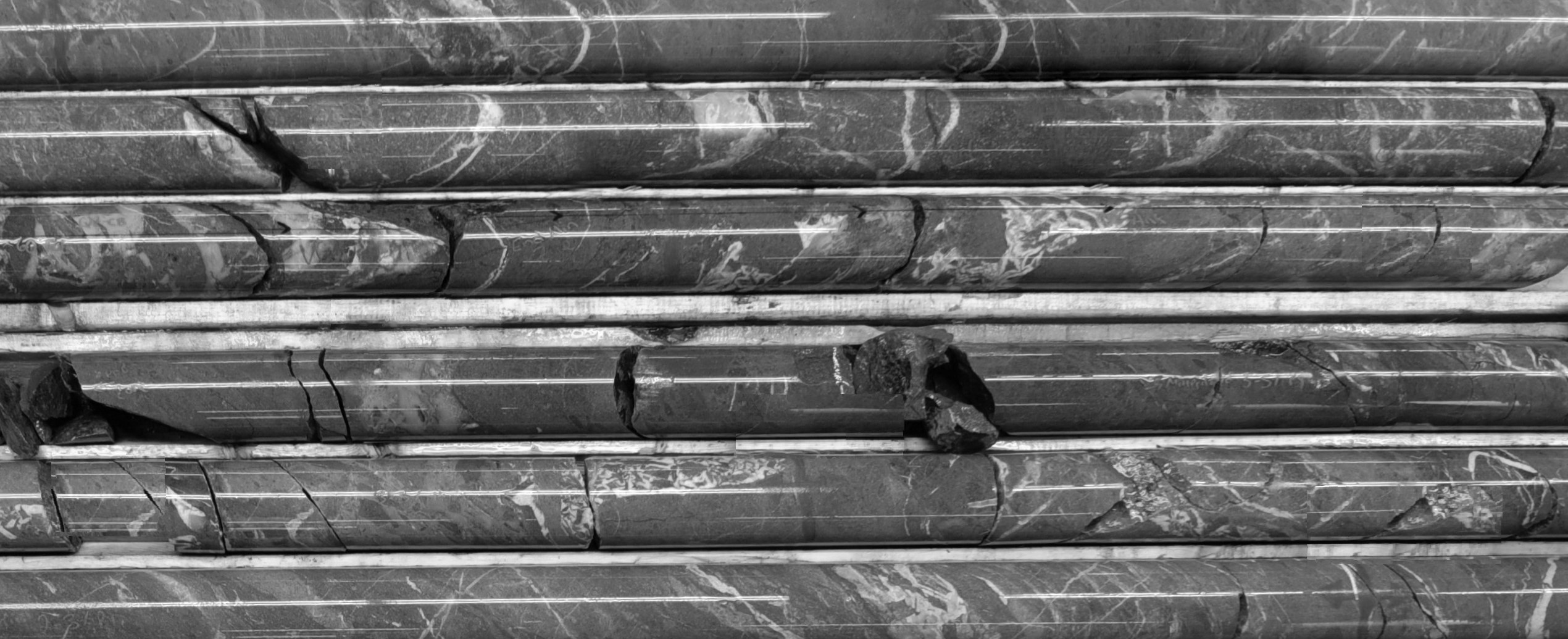 Drill core in core trays, black and white